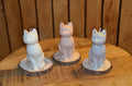 poezen kaars €6,95-€8,95