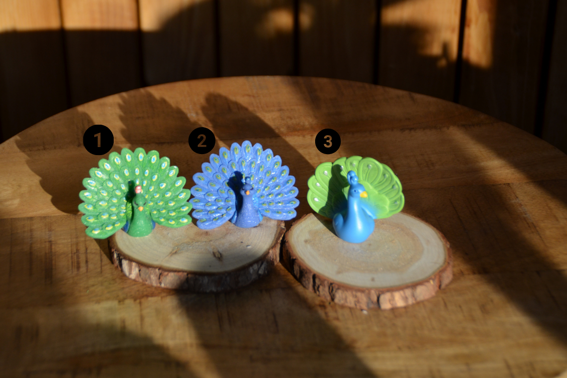 pauw decoratie €1,99