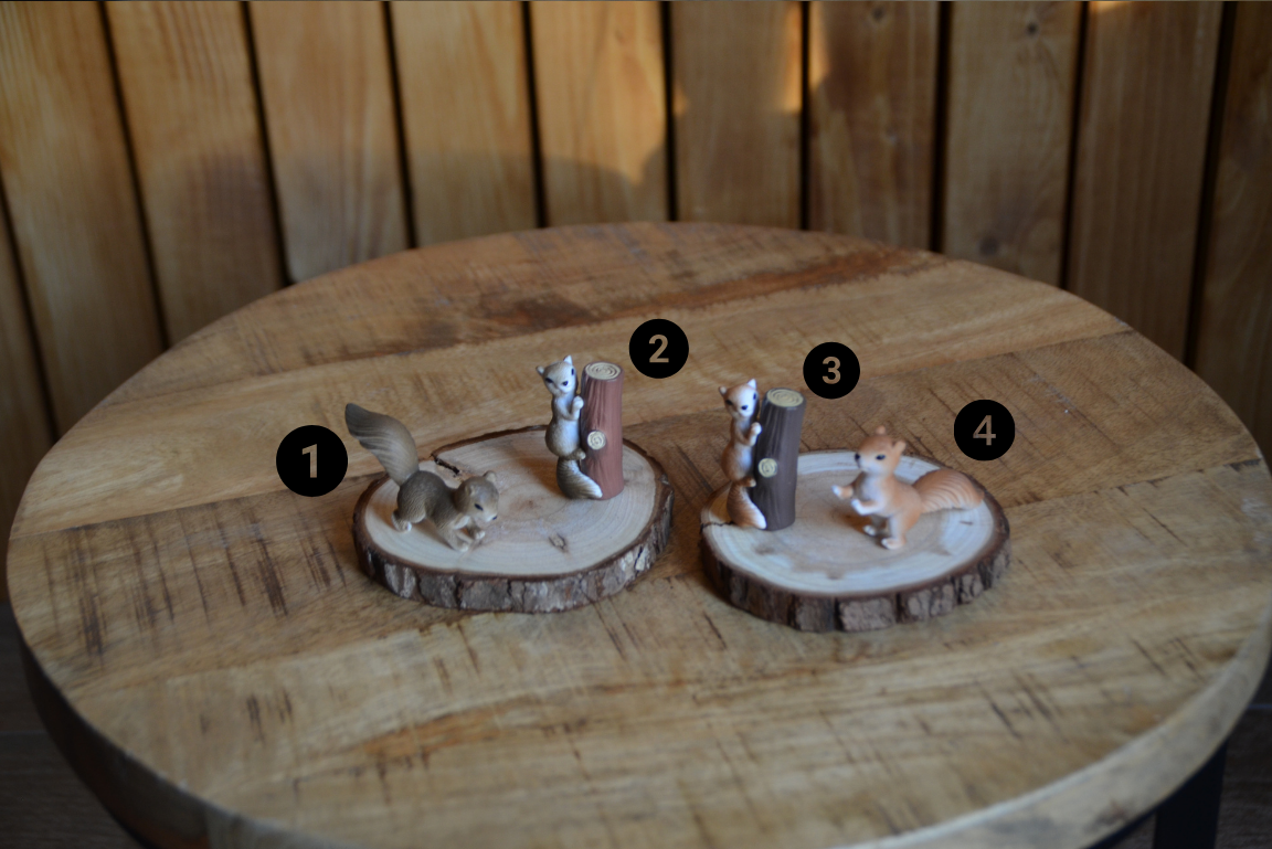 eekhoorn decoratie €1,49